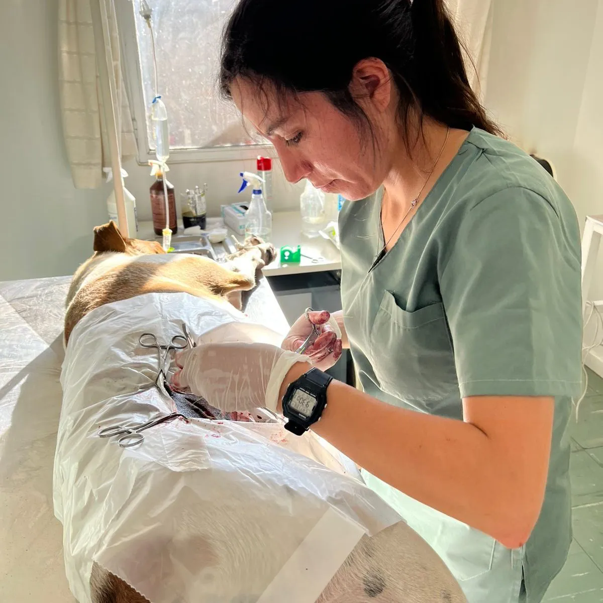 WhatsApp Image 2026-02-07 at 3.51.53 PM